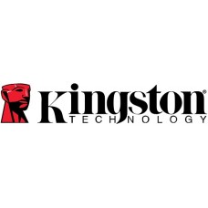 KINGSTON DT100G3/8GB