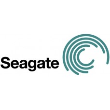 SEAGATE ST400FN0021